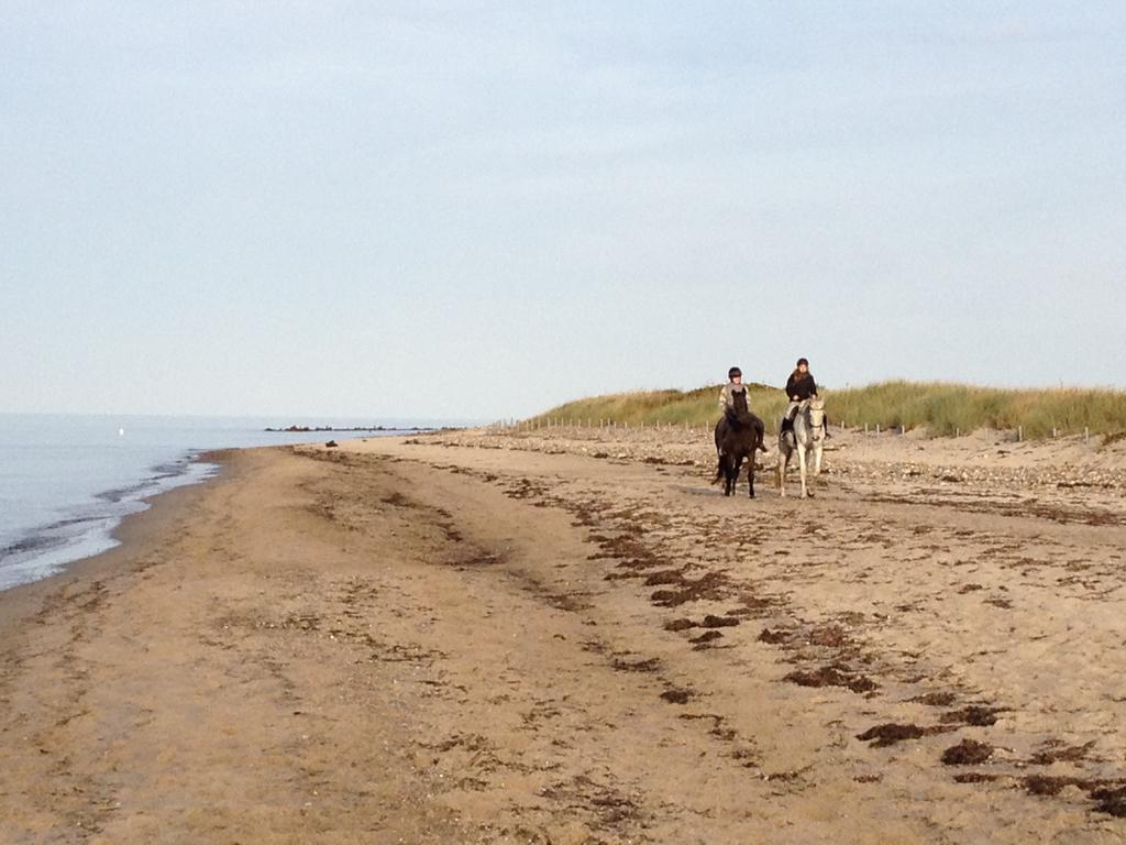 Ferienwohnung Strandlaeufer Börgerende-Rethwisch Екстериор снимка